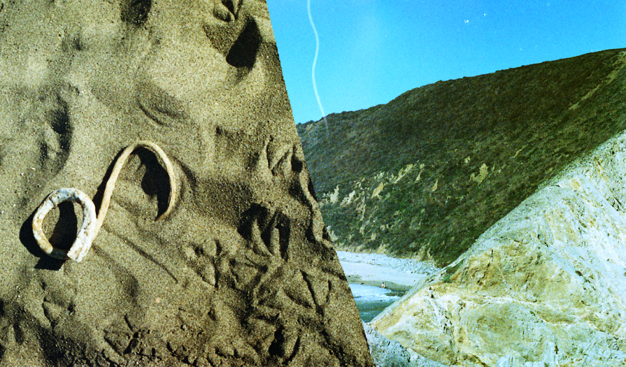 http://www.brianechon.com/indexhibit/files/gimgs/18_sexonthebeach.jpg